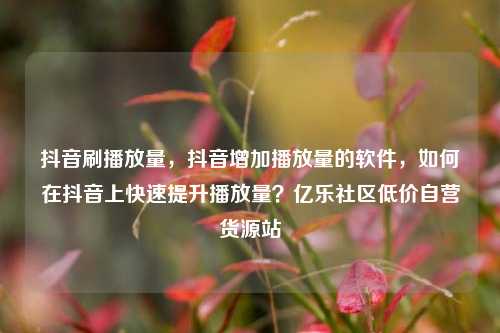 抖音刷播放量，抖音增加播放量的软件	，如何在抖音上快速提升播放量？亿乐社区低价自营货源站  第1张