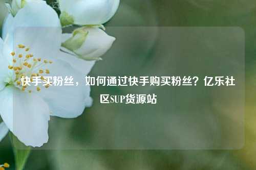 快手买粉丝，如何通过快手购买粉丝？亿乐社区SUP货源站  第1张