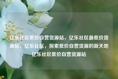 亿乐社区低价自营货源站	，亿乐社区最低价货源站，亿乐社区，探索低价自营货源的新天地亿乐社区低价自营货源站  第1张