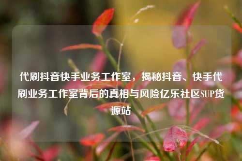 代刷抖音快手业务工作室，揭秘抖音	、快手代刷业务工作室背后的真相与风险亿乐社区SUP货源站  第1张