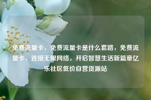 免费流量卡	，免费流量卡是什么套路，免费流量卡，连接无限网络	，开启智慧生活新篇章亿乐社区低价自营货源站  第1张