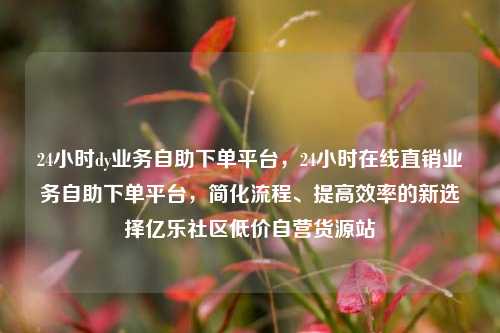 24小时dy业务自助下单平台，24小时在线直销业务自助下单平台	，简化流程、提高效率的新选择亿乐社区低价自营货源站  第1张