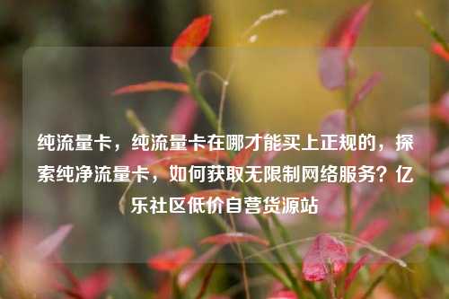 纯流量卡	，纯流量卡在哪才能买上正规的，探索纯净流量卡，如何获取无限制网络服务？亿乐社区低价自营货源站  第1张