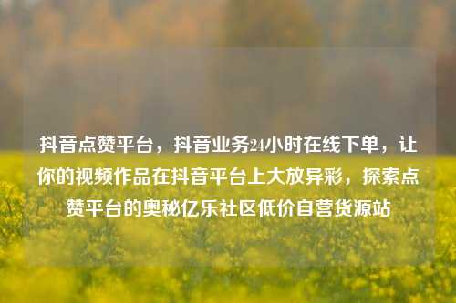 抖音点赞平台，抖音业务24小时在线下单	，让你的视频作品在抖音平台上大放异彩，探索点赞平台的奥秘亿乐社区低价自营货源站  第1张