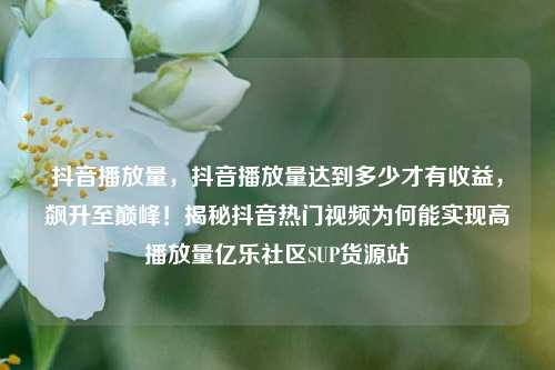 抖音播放量，抖音播放量达到多少才有收益，飙升至巅峰！揭秘抖音热门视频为何能实现高播放量亿乐社区SUP货源站  第1张