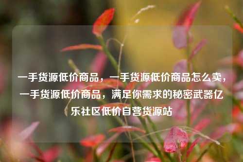 一手货源低价商品，一手货源低价商品怎么卖，一手货源低价商品	，满足你需求的秘密武器亿乐社区低价自营货源站  第1张