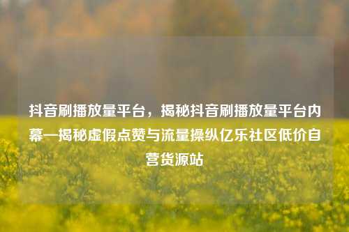 抖音刷播放量平台，揭秘抖音刷播放量平台内幕—揭秘虚假点赞与流量操纵亿乐社区低价自营货源站  第1张
