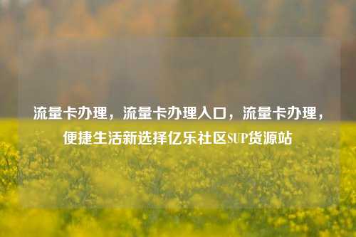 流量卡办理，流量卡办理入口	，流量卡办理，便捷生活新选择亿乐社区SUP货源站  第1张