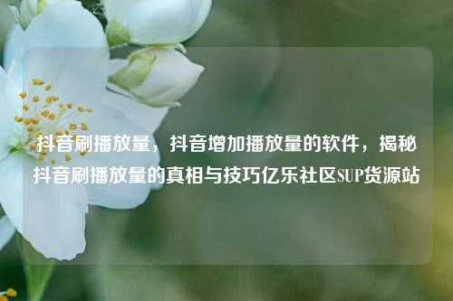 抖音刷播放量，抖音增加播放量的软件	，揭秘抖音刷播放量的真相与技巧亿乐社区SUP货源站  第1张
