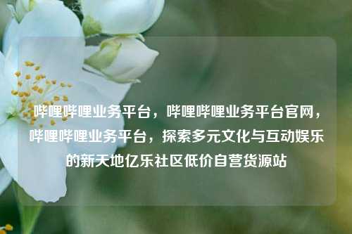 哔哩哔哩业务平台	，哔哩哔哩业务平台官网，哔哩哔哩业务平台，探索多元文化与互动娱乐的新天地亿乐社区低价自营货源站  第1张