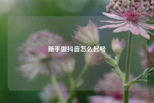 新手做抖音怎么起号  第1张