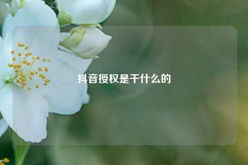 抖音授权是干什么的  第1张