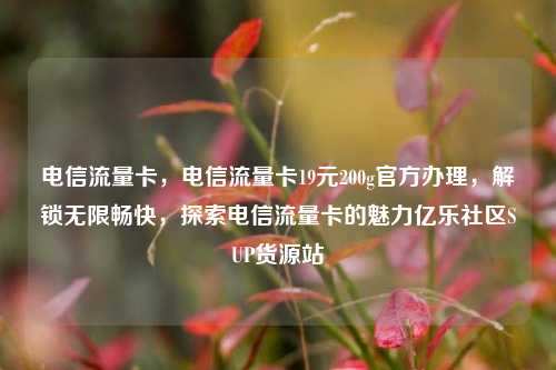 电信流量卡	，电信流量卡19元200g官方办理，解锁无限畅快，探索电信流量卡的魅力亿乐社区SUP货源站  第1张